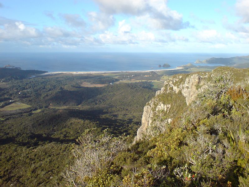 Nowa Zelandia zdjęcie: Nowa Zelandia Great Barrier Island przyrodnicza atrakcja 90km od Auckland