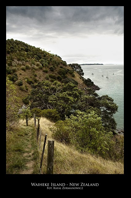 Nowa Zelandia zdjęcie: Idylliczna Waiheke czyli kobieca opcja w okolicach Auckland w Nowej Zelandii 