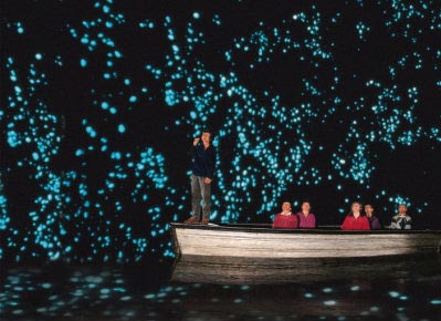 Nowa Zelandia zdjęcie: Świecące robaki czyli glow worms w Nowej Zelandii.