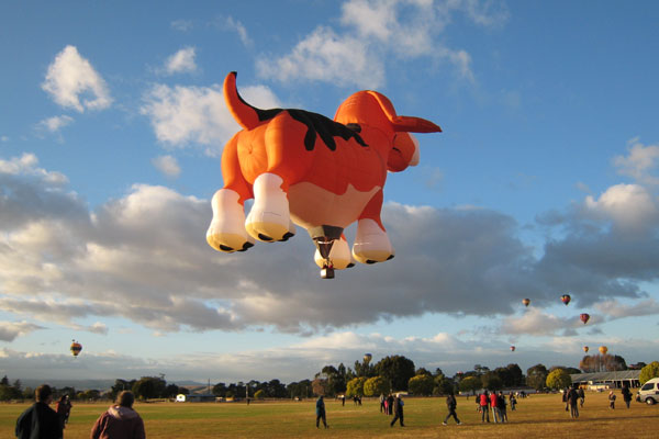 Nowa Zelandia zdjęcie: Balony na Wairarapa 19-21 marca 2010