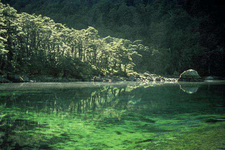 Nowa Zelandia zdjęcie: Nowa Zelandia ma najczystszy zbiornik wodny na Świecie.