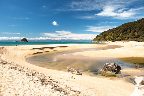 Abel Tasman Nowa Zelandia | fot. Rafał Żurmanowicz | WycieczkiNowaZelandia.pl