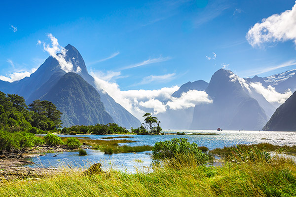 Milford Sound Nowa Zelandia | fot. Rafał Żurmanowicz | WycieczkiNowaZelandia.pl