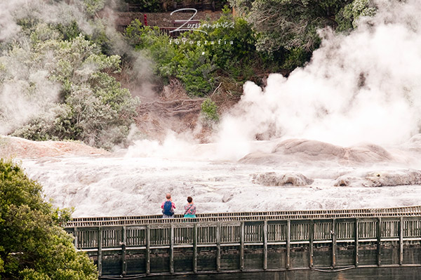 Rotorua Nowa Zelandia | fot. Rafał Żurmanowicz | WycieczkiNowaZelandia.pl