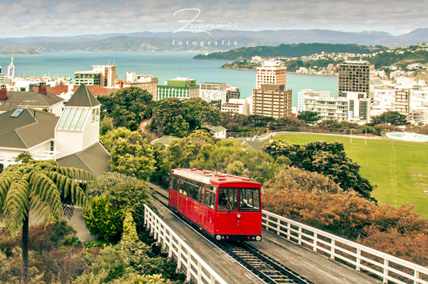 Wellington Nowa Zelandia | fot. Rafał Żurmanowicz | WycieczkiNowaZelandia.pl