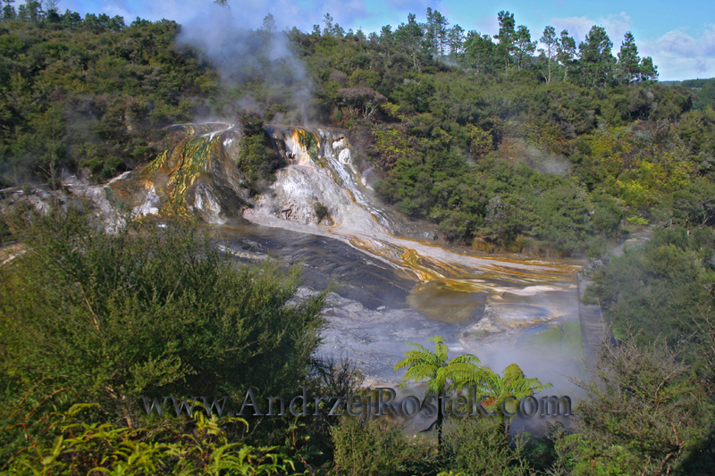 ORAKEI KORAKO