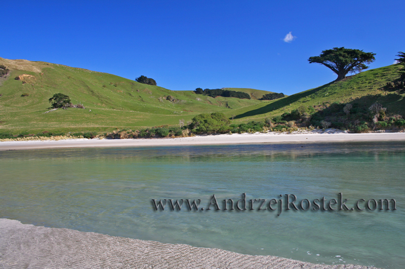 Otago Peninsula 