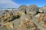 Moeraki Boulders