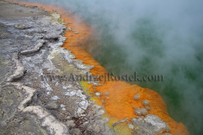 ROTORUA