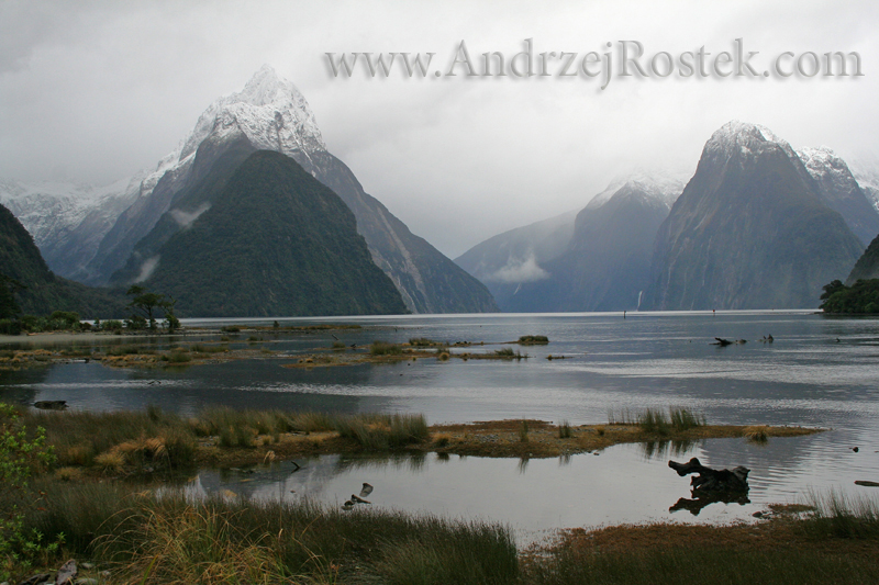 Milford sound