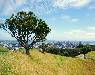 Panorama miasta z Mount Eden.