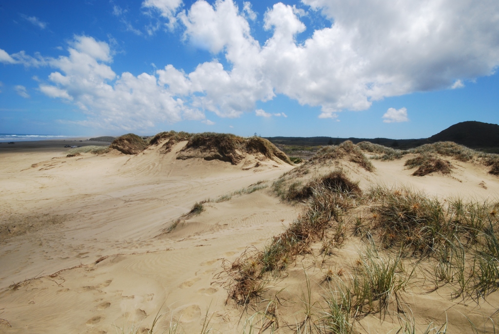 NINETY MILE BEACH