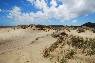 NINETY MILE BEACH