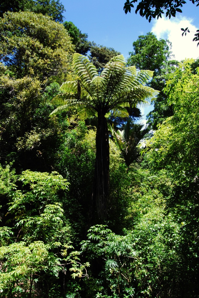 ABEL TASMAN NATIONAL PARK