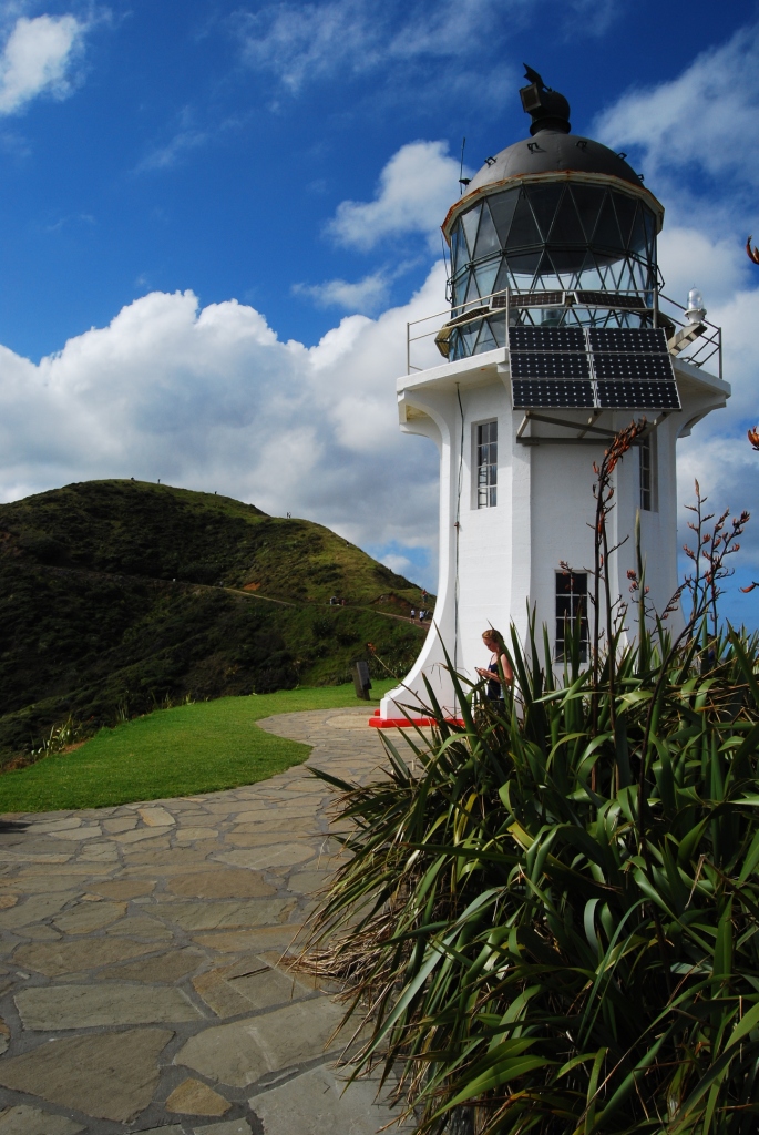 CAPE REINGA