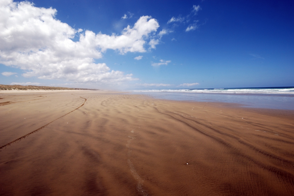 NINETY MILE BEACH