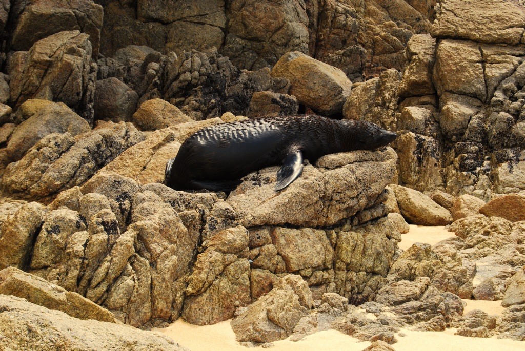 ABEL TASMAN NATIONAL PARK