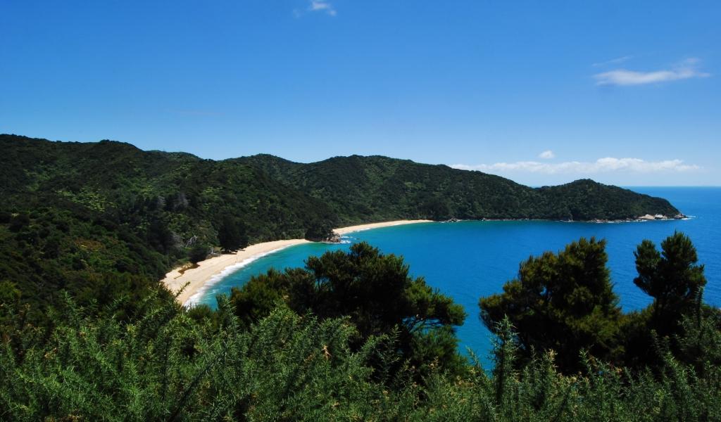 Nowa Zelandia zdjęcie: ABEL TASMAN NATIONAL PARK  - część XII