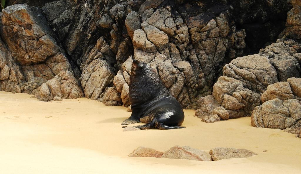 ABEL TASMAN NATIONAL PARK