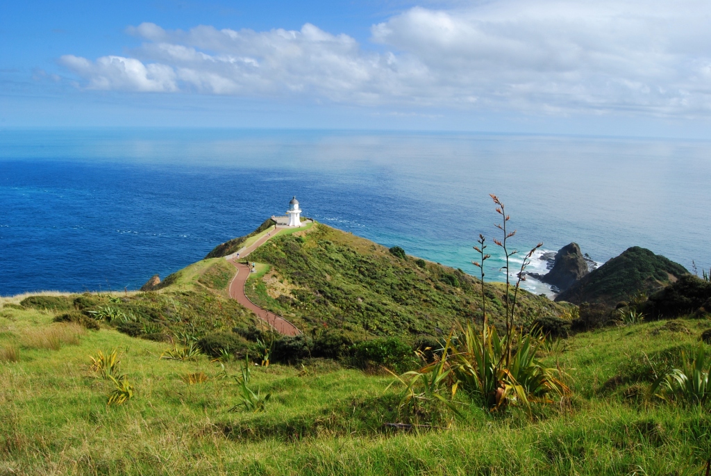 CAPE REINGA