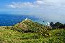 CAPE REINGA