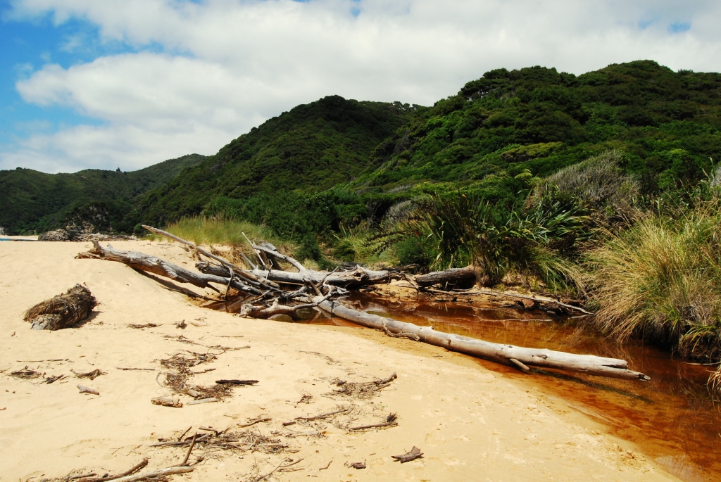 ABEL TASMAN NATIONAL PARK