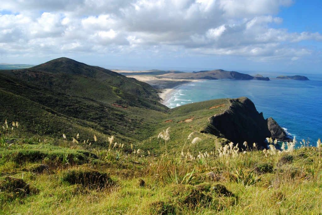 CAPE REINGA