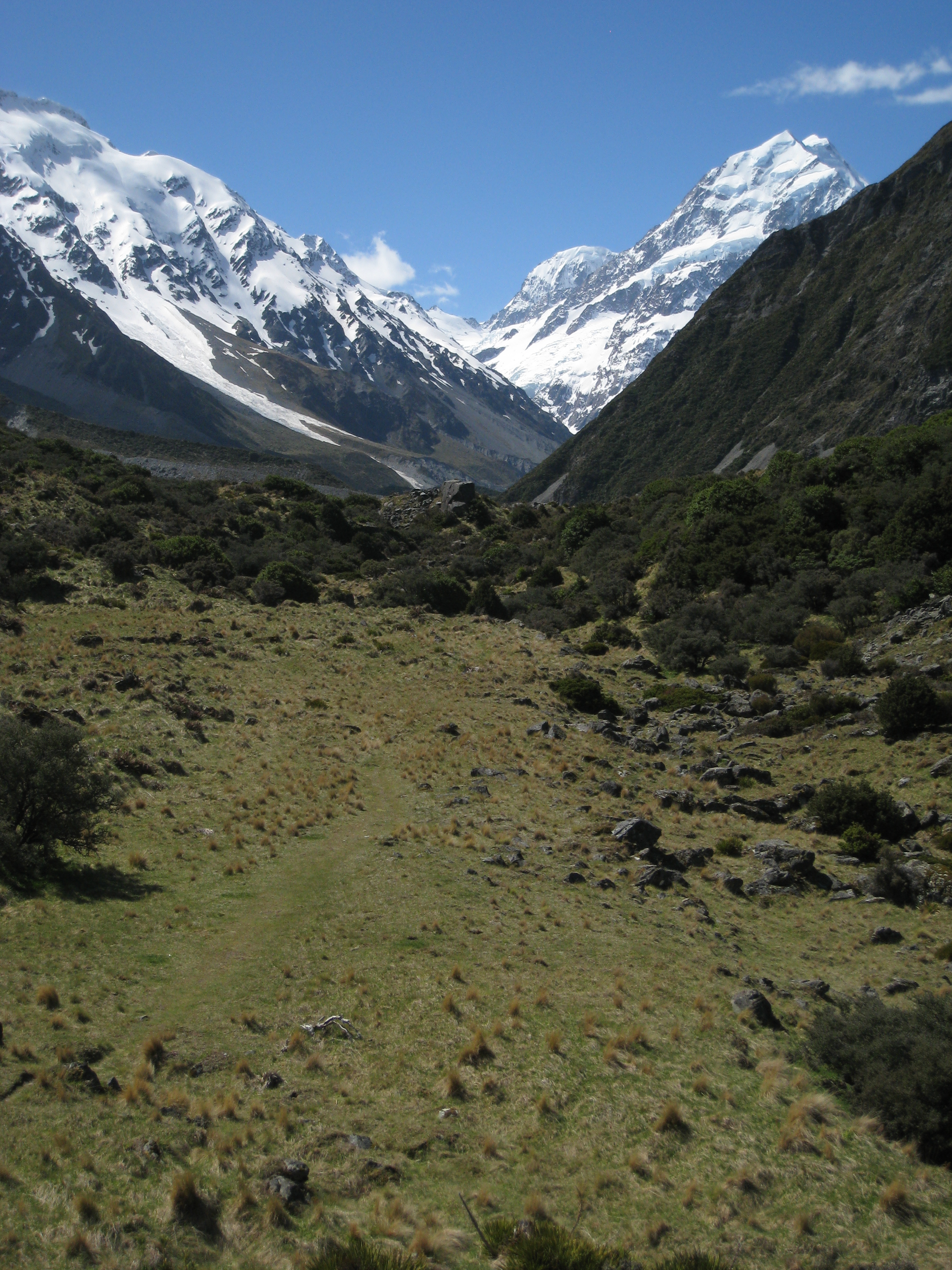 Mt Cook