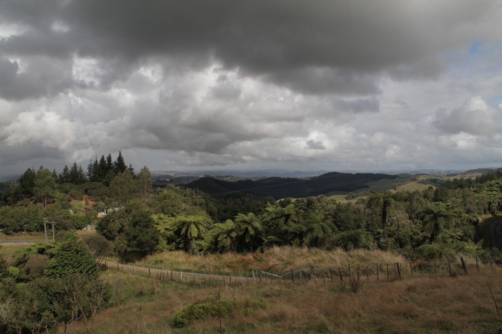 Waitomo - Nowa Zelandia