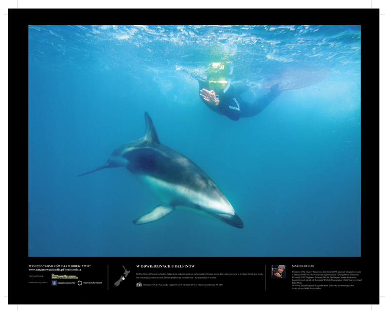 W odwiedzinach u delfinów - wystawa Koniec Świata w obiektywie