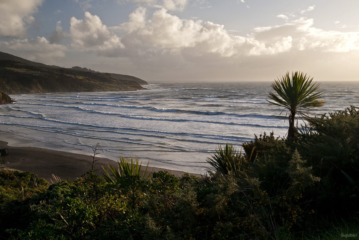 Raglan beach