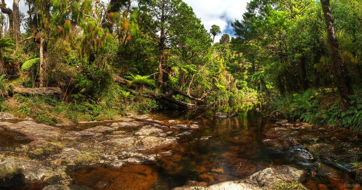 Wairere Falls - panorama rzeczki