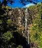 Wairere Falls - wodospad widziany z dołu
