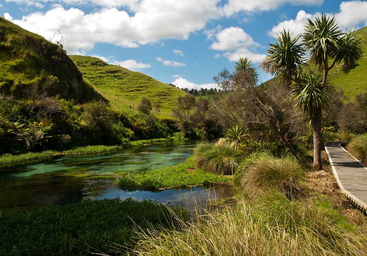 Te Waihou Valley